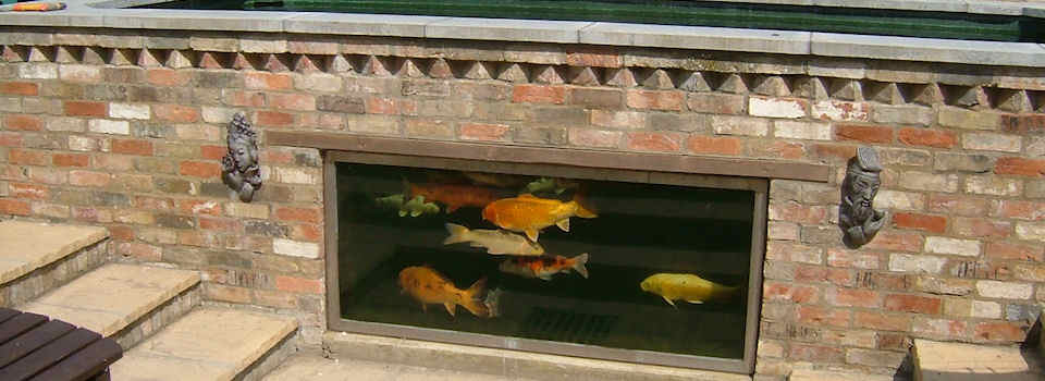 Feature Paving and inset fish pond with viewing window